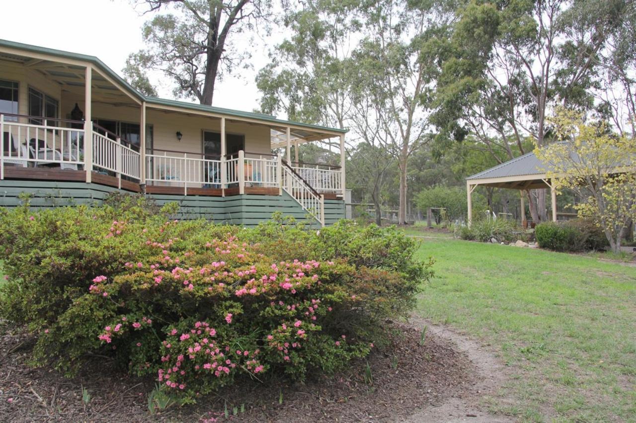 Nicholson BnB&Arts Centre Exterior foto